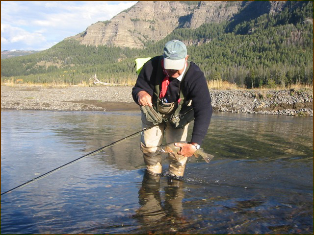 Aspen Leaf Angling